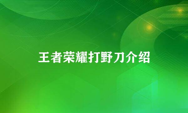 王者荣耀打野刀介绍