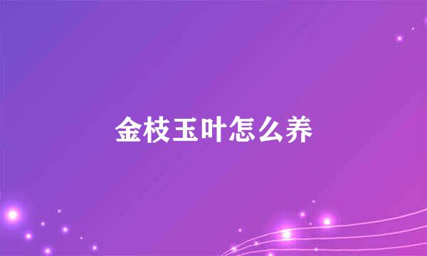 金枝玉叶怎么养