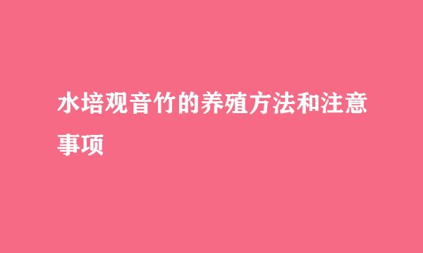 水培观音竹的养殖方法和注意事项