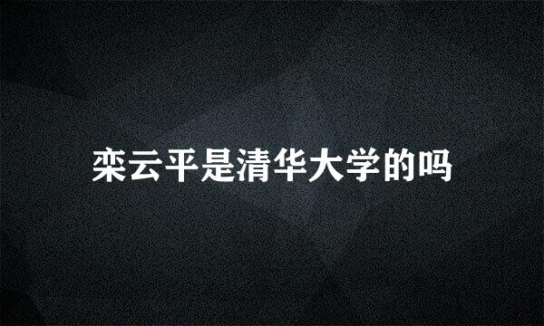 栾云平是清华大学的吗