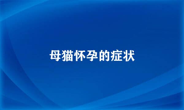 母猫怀孕的症状