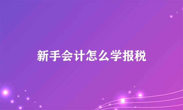 新手会计怎么学报税