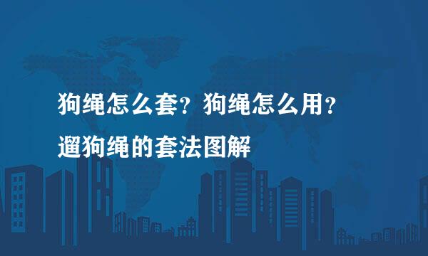 狗绳怎么套？狗绳怎么用？ 遛狗绳的套法图解