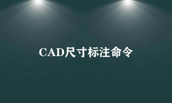 CAD尺寸标注命令